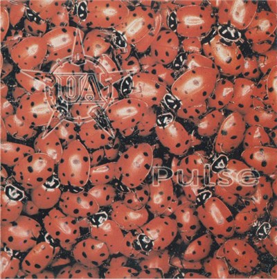 Unfit Association - Pulse download mp3 flac