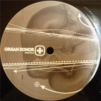 DJ Shadow / Manu Chao - Organ Donor / King Of The Bongos download mp3 flac