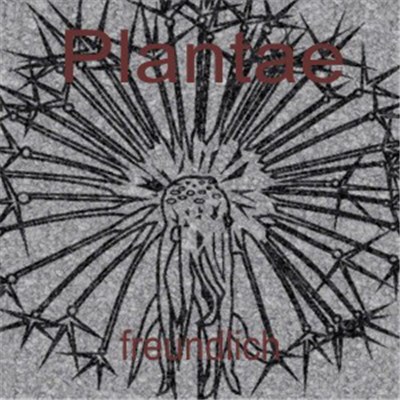 Plantae - Freundlich download mp3 flac