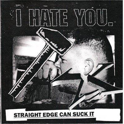 I Hate You. - Seven Inches Of Hate download mp3 flac