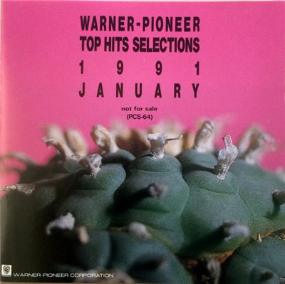 Various - Warner-Pioneer Top Hits Selections 1991 January download mp3 flac