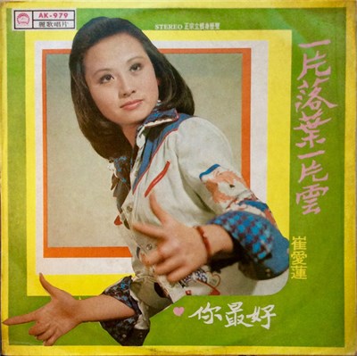 崔愛蓮 - 一片落葉一片雲 download mp3 flac