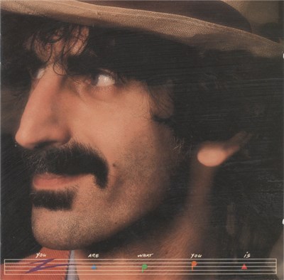 Frank Zappa - You Are What You Is download mp3 flac