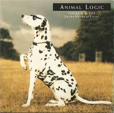 Animal Logic - There's A Spy (In The House Of Love) download mp3 flac