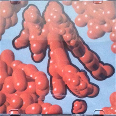 Manyfast - Breaking The Wav's download mp3 flac