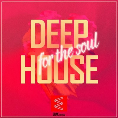 Various - Deep House For The Soul download mp3 flac