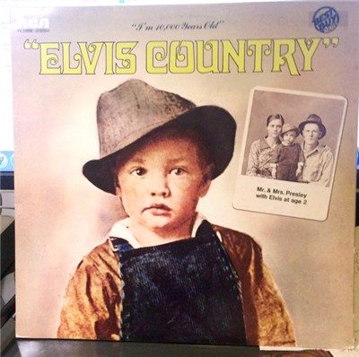 Elvis Presley - Elvis Country (I'm 10,000 Years Old) download mp3 flac