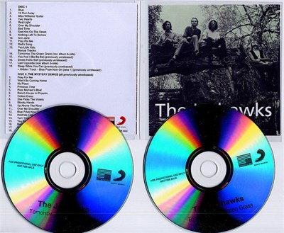 The Jayhawks - Tomorrow The Green Grass download mp3 flac