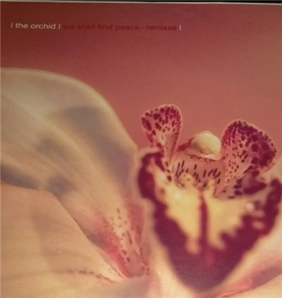 The Orchid - We Shall Find Peace (Remixes) download mp3 flac
