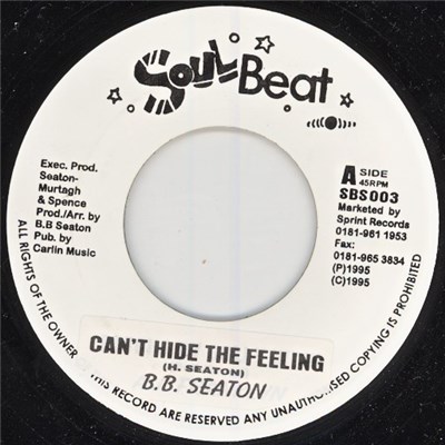 B.B. Seaton - Can't Hide The Feeling / Are We Loosing download mp3 flac