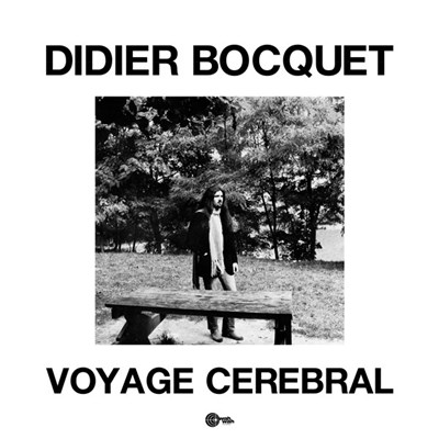 Didier Bocquet - Voyage Cerebral download mp3 flac