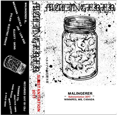 Malingerer - Substantiation download mp3 flac