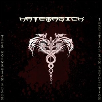 Hatemagick - True Norwegian Black Industrial EBM Revolution download mp3 flac