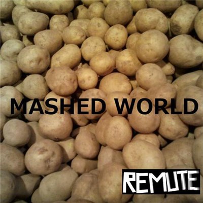 Remute - Mashed World download mp3 flac