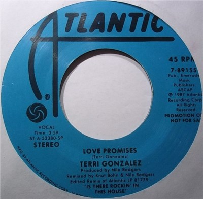 Terri Gonzalez - Love Promises download mp3 flac