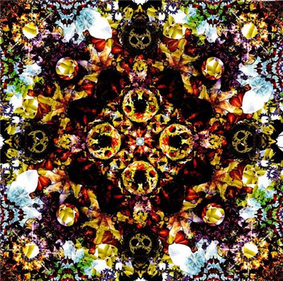 Yellow Swans & The Cherry Point - Live At Camp Blood download mp3 flac