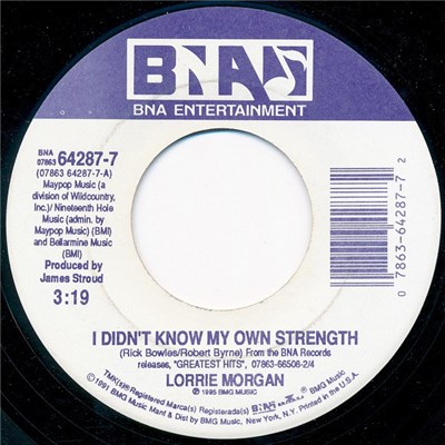 Lorrie Morgan - I Didn't Know My Own Strength download mp3 flac