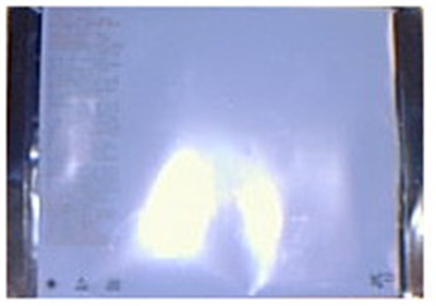 Bernhard Loibner - Trans/Mute download mp3 flac