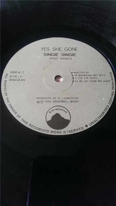 Singie Singie & Root Radics - Yes She Gone download mp3 flac