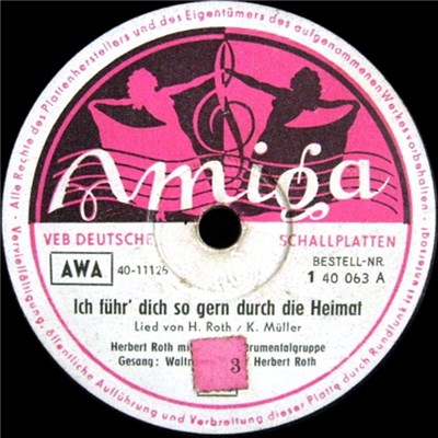 Herbert Roth m. s. Instrumentalgruppe - Ich Führ' Dich So Gern Durch Die Heimat / Wir Grüßen Die Thüringer Wälder download mp3 flac