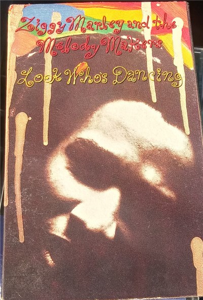 Ziggy Marley And The Melody Makers - Look Who's Dancing download mp3 flac