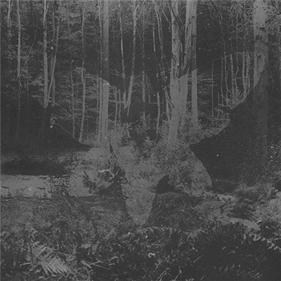 Cholera - Plagiarised Hope download mp3 flac