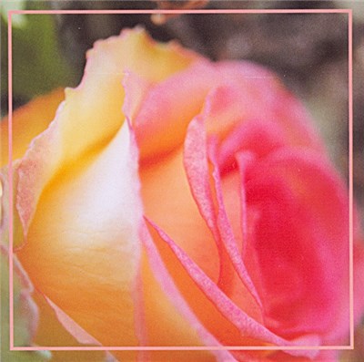 Mathias Grassow - The Fragrance Of Eternal Roses download mp3 flac