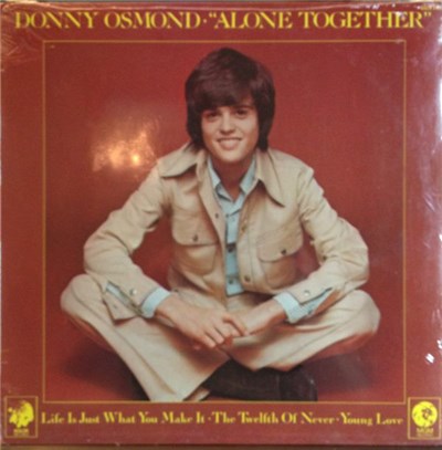 Donny Osmond - Alone Together download mp3 flac