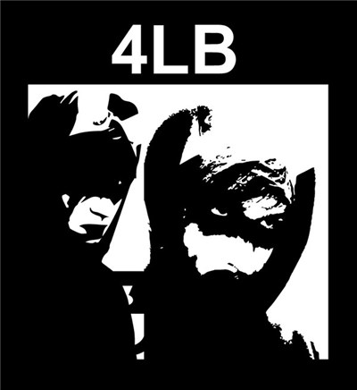 4lung - +/ download mp3 flac