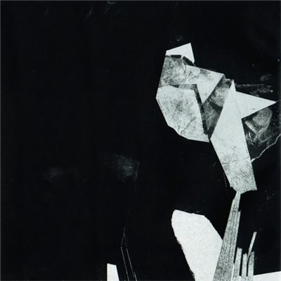 Schniner - Enloquecido download mp3 flac