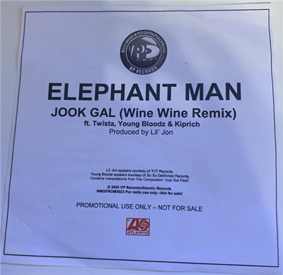 Elephant Man ft. Twista, Young Bloodz & Kiprich - Jook Gal (Wine Wine Remix) download mp3 flac