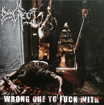 Dying Fetus - Wrong One To Fuck With download mp3 flac
