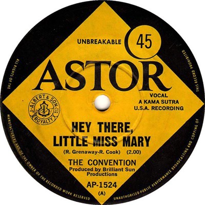The Convention - Hey There, Little Miss Mary download mp3 flac
