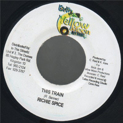 Richie Spice - This Train download mp3 flac