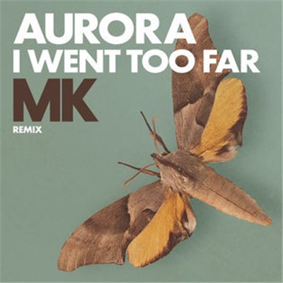 Aurora - I Went Too Far (MK Remix) download mp3 flac