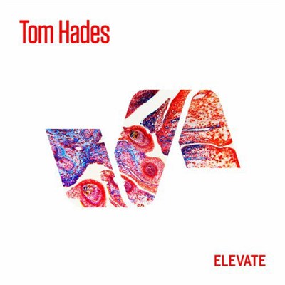 Tom Hades - Cloned EP download mp3 flac