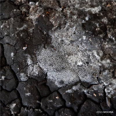 Vendi - Midoria download mp3 flac