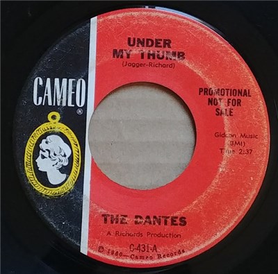 The Dantes - Under My Thumb / Can I Get A Witness download mp3 flac