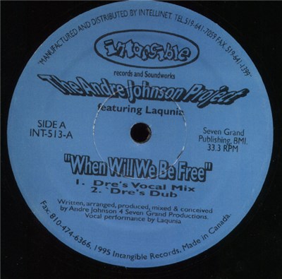 The Andre Johnson Project Featuring Laqunia - When Will We Be Free download mp3 flac