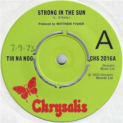 Tir Na Nog - Strong In The Sun download mp3 flac