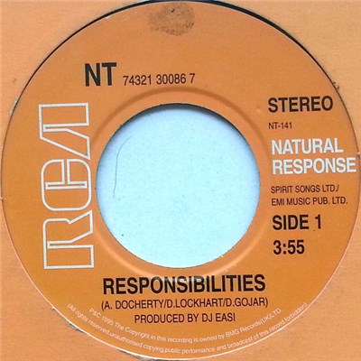 NT - Responsibilities download mp3 flac