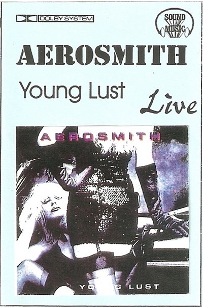 Aerosmith - Young Lust Live download mp3 flac