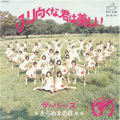 ザ・バーズ - ふり向くな君は美しい download mp3 flac