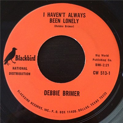 Debbie Brimer - I Haven't Always Been Lonely download mp3 flac