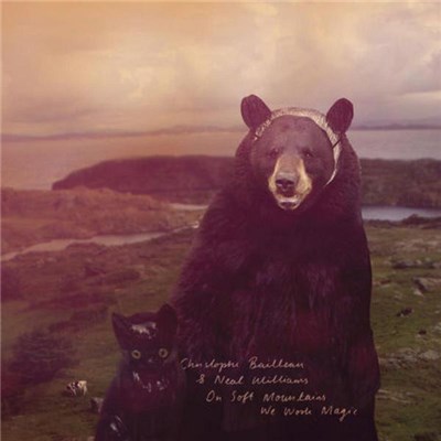 Christophe Bailleau & Neal Williams - On Soft Mountains We Work Magic download mp3 flac