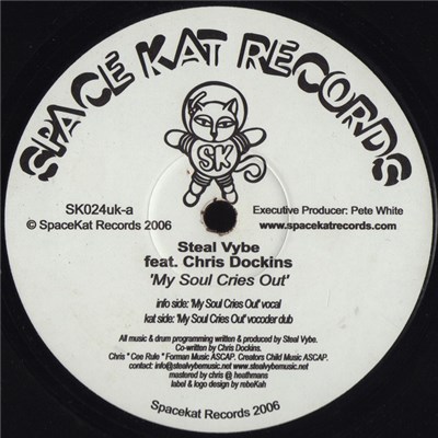 Steal Vybe Featuring Chris Dockins - My Soul Cries Out download mp3 flac