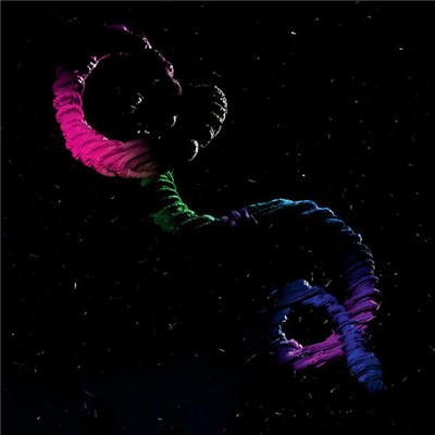 Brogan Bentley - The Snake download mp3 flac