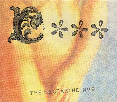 The Nectarine Nº9 - A Sea With Three Stars download mp3 flac