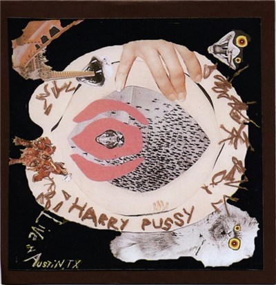 Harry Pussy - Live In Austin, TX download mp3 flac