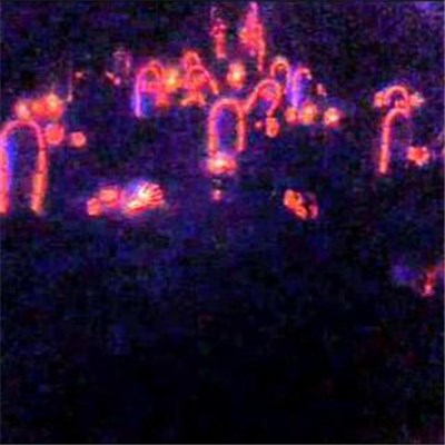 Yayoyanoh - Last Life Miix download mp3 flac